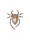 Red spider Brooch