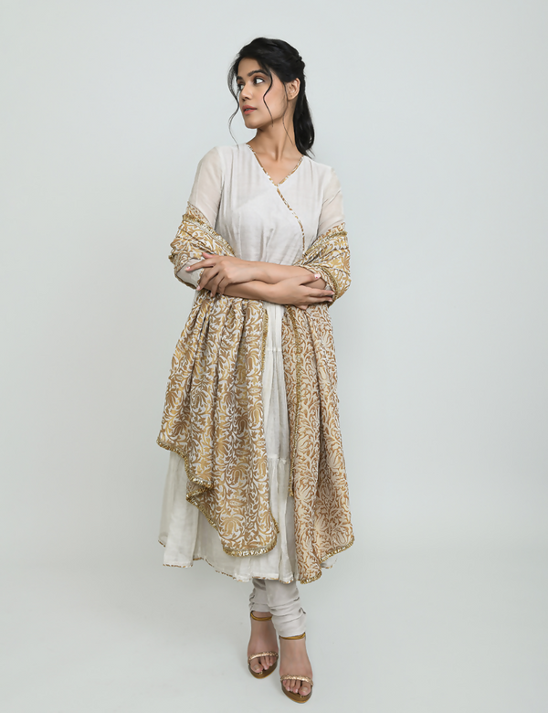 Alamzeb Tissue Angarkha Suit