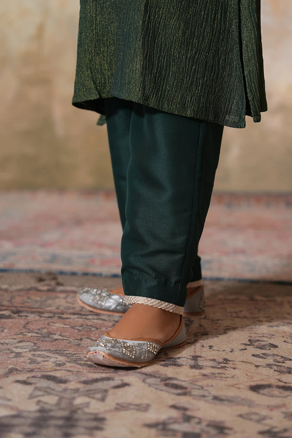 Bagh Tissue Silk Set