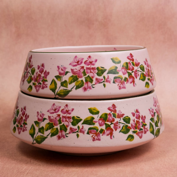 Bougainvillea - Collection
