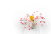 Starlight Ring (Small)