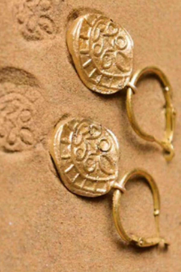 Fossil Hoops 4