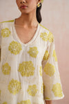 Zinnia Set