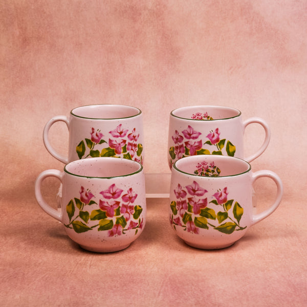 Bougainvillea - Collection