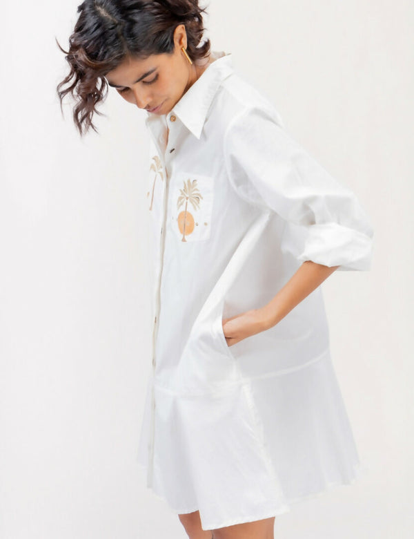 Aaram Dress