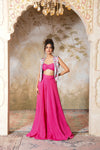Gulabi Bageecha Sharara Set