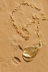 Fossil Shakcle 3