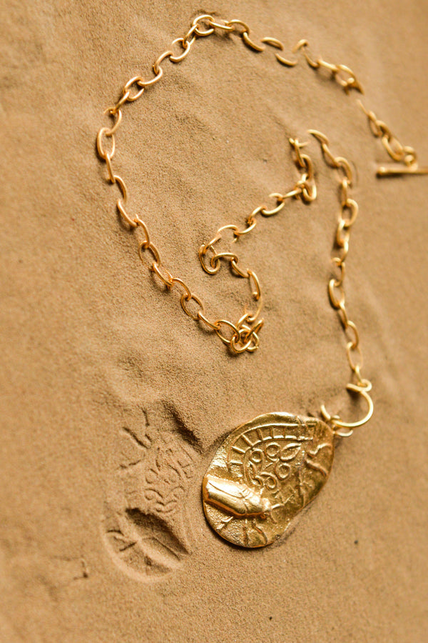Fossil Shakcle 3