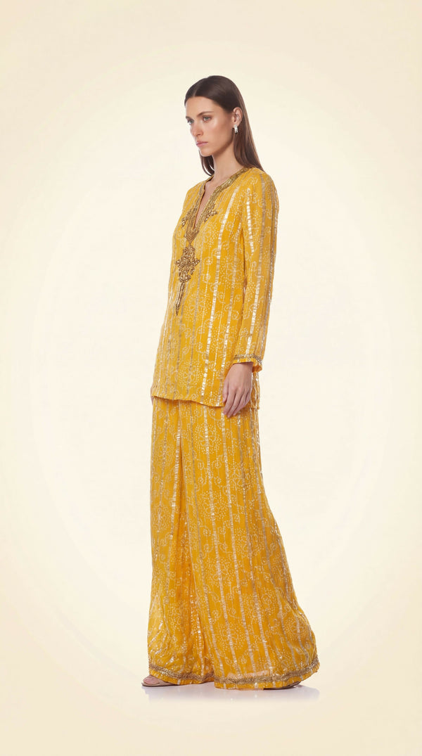 Liora Embroiderd Kurta Set