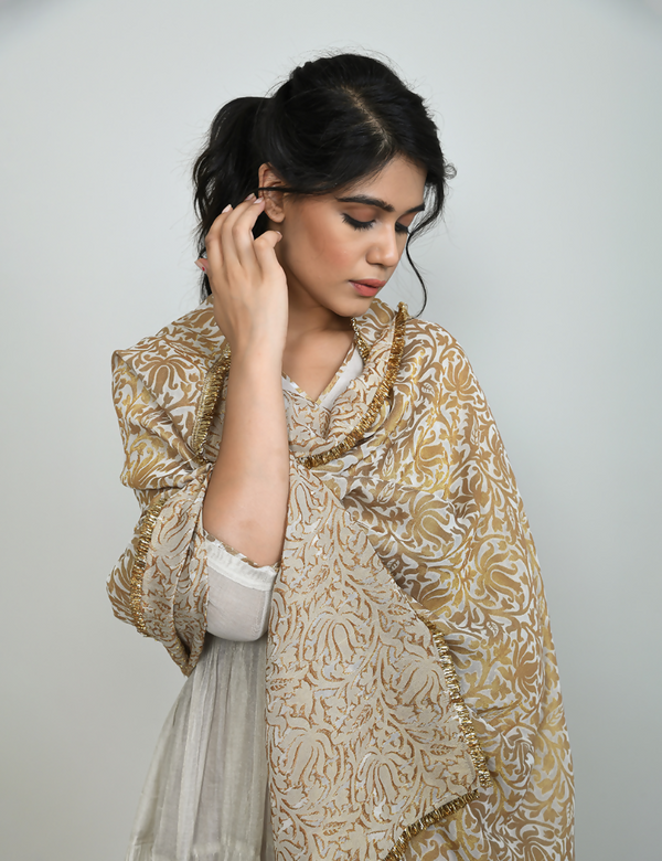 Alamzeb Tissue Angarkha Suit