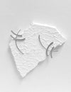 Tohu Earrings