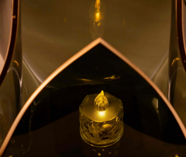 Tulip - Black & Gold