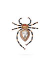 Red spider Brooch