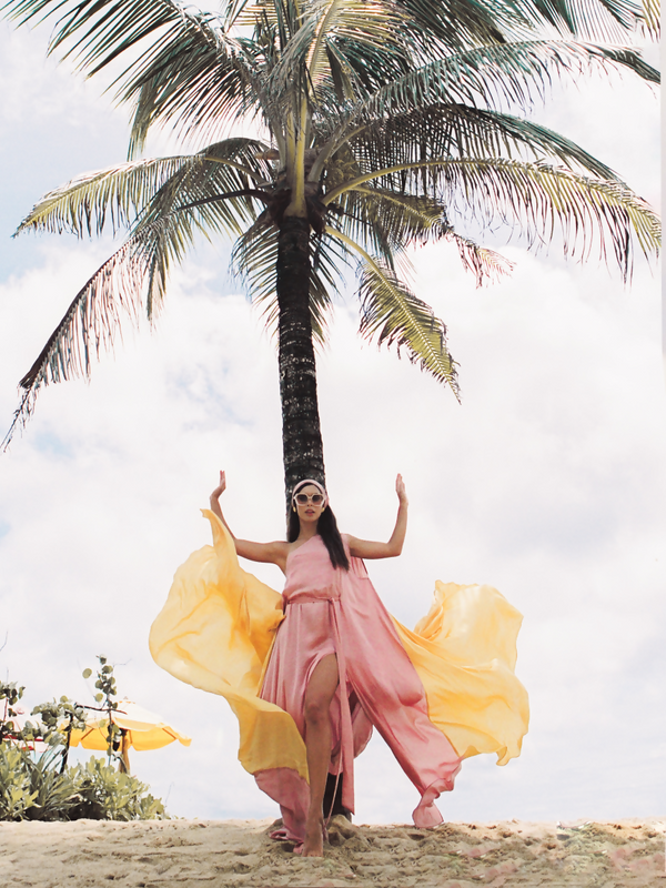 Flamingo Dress