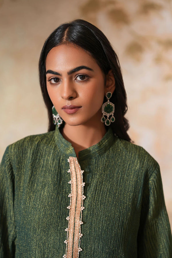 Bagh Tissue Silk Set