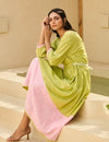 Dual tone embroidered dress
