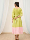 Dual tone embroidered dress