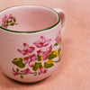 Bougainvillea - Collection